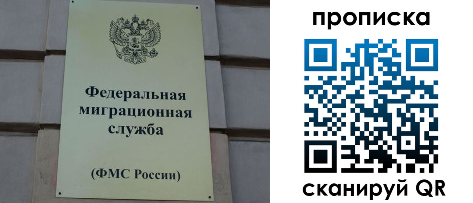 прописка поиск в Дальнегорске